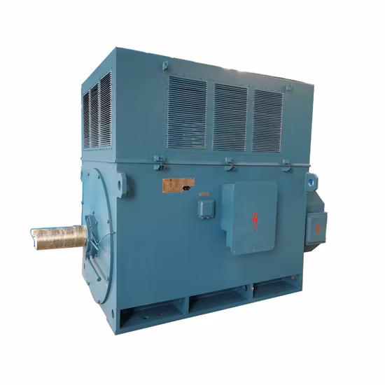 Winding Slip Ring High Voltage Motor